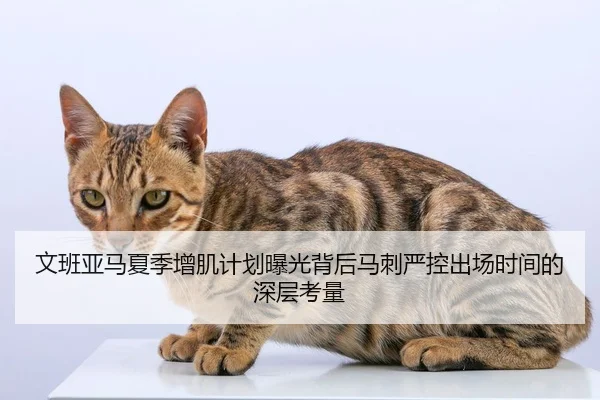 文班亚马夏季增肌计划曝光背后马刺严控出场时间的深层考量